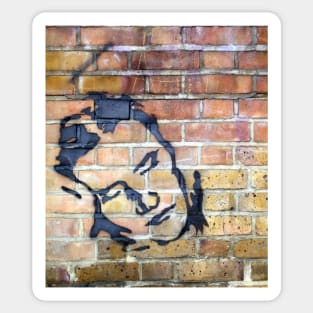 Street Art Face Sticker